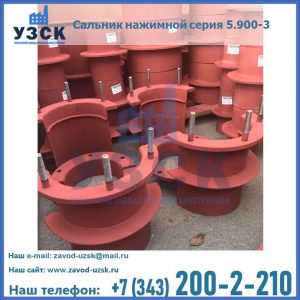 Сальники нажимные серия 5.900-3 в Реутове